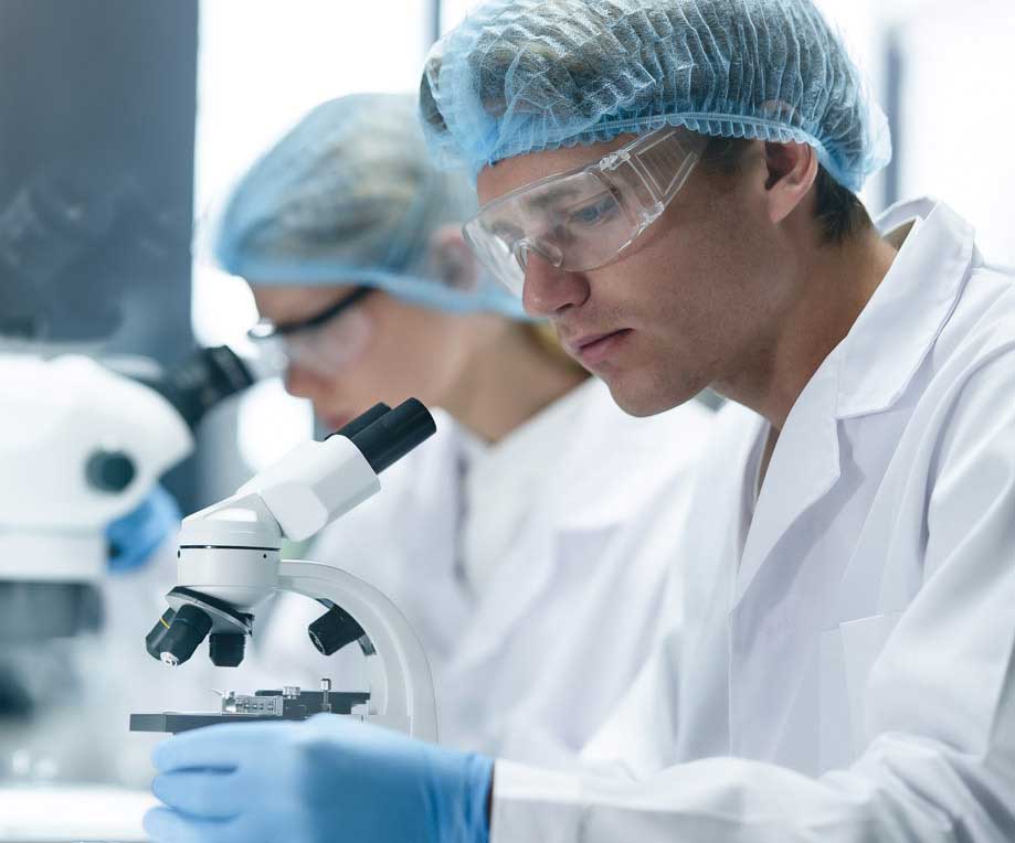 two professionals working with microscope wearing white lab coats, medical gloves, and hair nets.