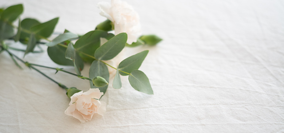 white rose on white cloth
