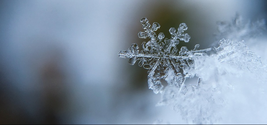 Snow crystal