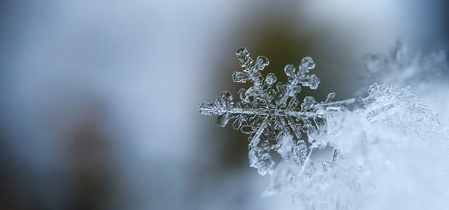 close up of snowflake