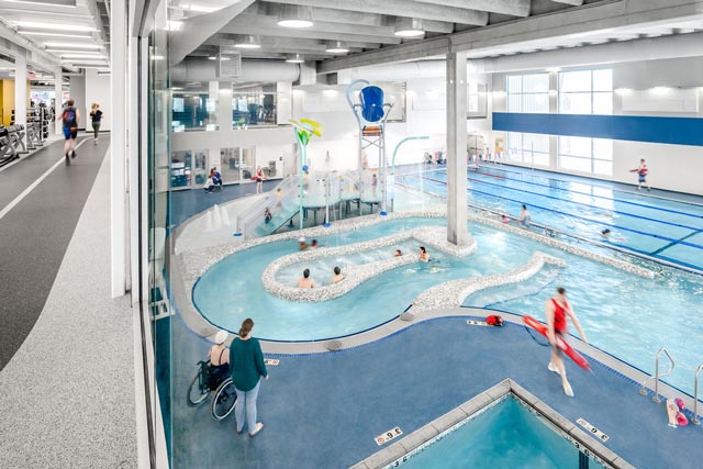 people swimming in a pool
